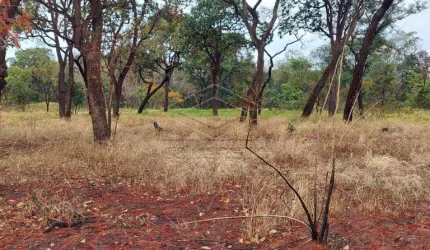 Terreno Área em Bauru