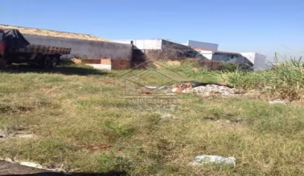 Terreno Padrão em Bauru