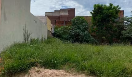 Terreno plano no Tangarás 5,5X25