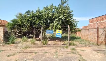Terreno Padrão em Bauru