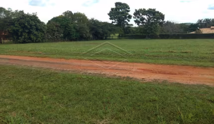Terreno Padrão em Arealva