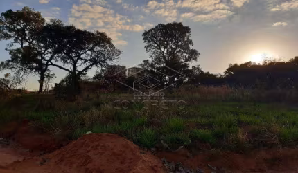 Terreno Padrão em Bauru