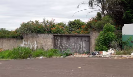 Terreno Padrão em Bauru