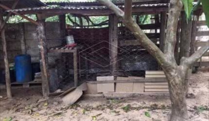 Rural Sitio em Lençóis Paulista