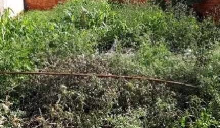 Terreno Padrão em Jaú