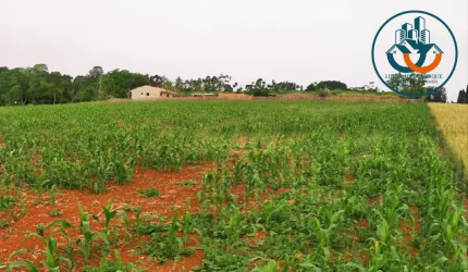 Terreno para Venda em Ponta Grossa, Chapada