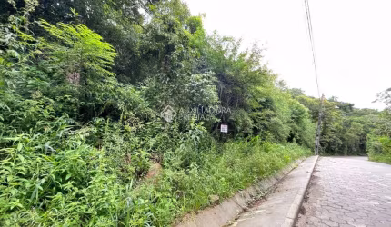 Terreno à venda na Estrada Rozália Paulina Ferreira, Pântano do Sul, Florianópolis, 970 m2 por R$ 690.000