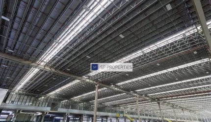 Galpão para alugar, de 15.500m² até 58.000m² - Marginal Tietê - São Paulo/SP