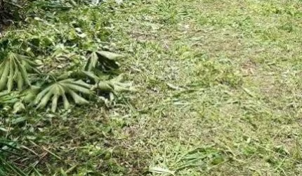 TERRENO no RIO BONITO com 0 quartos para VENDA, 30000 m²