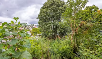 Terreno à venda na Rua Rio Trombetas, 354, Roça Grande, Colombo, 600 m2 por R$ 239.000