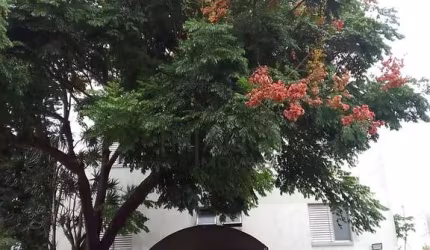 Apartamento conservado e aconchegante para locação no bairro  Catumbi na região da Zona leste de  S