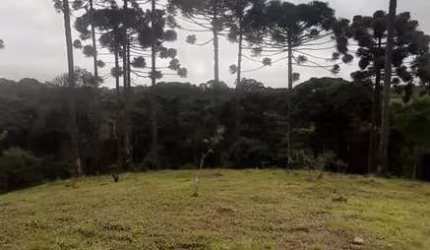 Chácara 40.700 m² - Bocaiuva do Sul