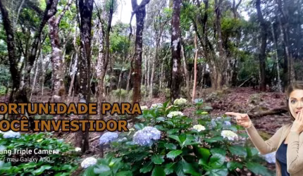 Terreno Urbano 10.400 m² - Bocaiuva do Sul
