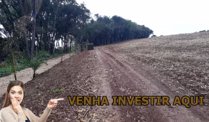 Chácara 68.608 m² - Campo Largo