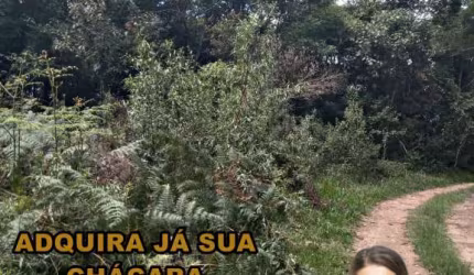 Chácara 38.990 m² - Bocaiuva do Sul