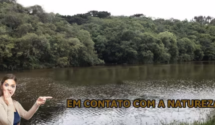 Chácara 21.341,60 m² - Bom Jesus, Bocaiuva do Sul