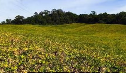 Chácara 20.141 m² - Ekko Village - Campo Largo/Pr