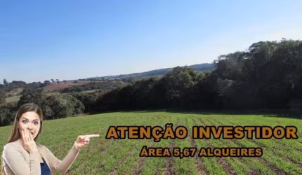 Chácara 137.216 m² - Campo Largo