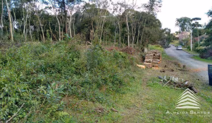 Terreno a venda em Santa Felicidade, 856 m², Rua Emílio Alexandrino da Silva