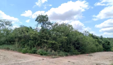 Lote/Terreno à venda, Loteamento Mirante do Morro no bairro Vale do Gaviao, Teresina/PI