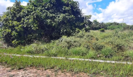 Lote/Terreno à venda, no bairro JOAO XXIII, Parnaiba/PI