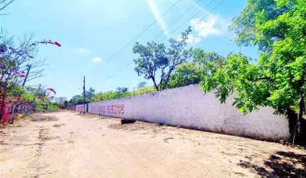 Sítio/Chácara para aluguel, no bairro Sangrador, Timon/MA