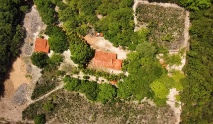 Sítio/Chácara à venda, no bairro Zona Rural, Campo Maior/PI