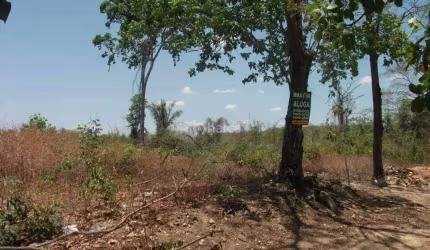 Lote/Terreno para aluguel, no bairro Uruguai, Teresina/PI