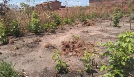 Lote/Terreno à venda, no bairro Angelim, Teresina/PI