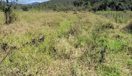 Área com 2.5 Hectares em ótima localização, 100% aproveitável