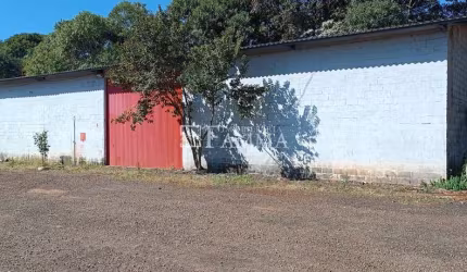 Barracão Disponível para Locação, SÃO FRANCISCO, PATO BRANCO - PR