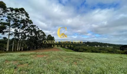 Terreno 10 hectares próximo ao Alphaville