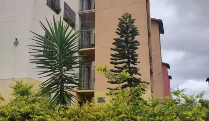 apartamento no jardim vitoria