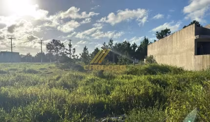 TERRENO PARA INVESTIMENTO