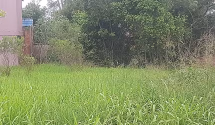 TERRENO em Viamão, ótima localização.