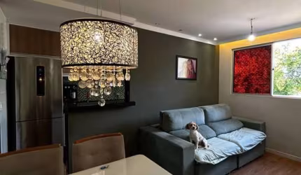 Apartamento de 2 Quartos no Parque Fragata – Melhor Localização de Colina de Laranjeiras