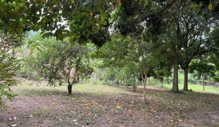 Imóvel para venda tem 3000 metros quadrados em Guaratiba - Rio de Janeiro - RJ