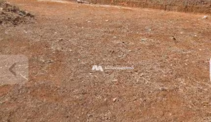Terreno à venda, 200 m² por R$ 140.000,00 - Residencial Jardim Antonieta - São José do Rio Preto/SP