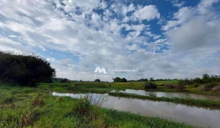 Sítio com 1 dormitório à venda, 103333 m² por R$ 2.100.000,00 - Rural - Olímpia/SP