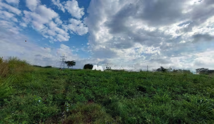 Sítio com 1 dormitório à venda, 81300 m² por R$ 2.625.000,00 - Rural - Olímpia/SP