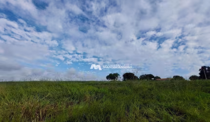 Sítio com 5 dormitórios à venda, 2 m² por R$ 3.000.000,00 - Rural - Olímpia/SP