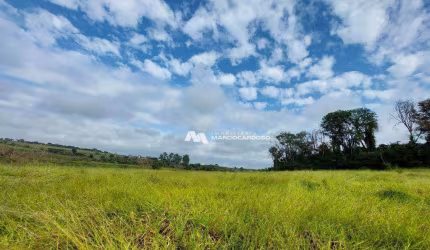 Sítio com 1 dormitório à venda, 101156 m² por R$ 3.500.000,00 - Rural - Olímpia/SP