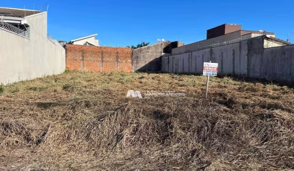 Terreno à venda, 509 m² por R$ 500.000,00 - Parque São Miguel - São José do Rio Preto/SP