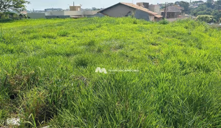 Terreno à venda, 291 m² por R$ 100.000,00 - Residencial Menezes II - Bady Bassitt/SP