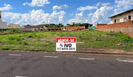 Terreno à venda, 770 m² por R$ 1.000.000,00 - Vila Flora - São José do Rio Preto/SP