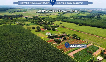 Área à venda, 22800 m² por R$ 1.000.000,00 - Zona Rural - Bady Bassitt/SP