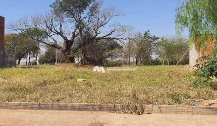 Terreno à venda, 200 m² por R$ 100.000,00 - Parque Vila Nobre - São José do Rio Preto/SP