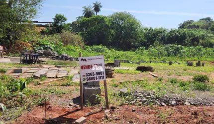 Terreno à venda, 4287 m² por R$ 800.000,00 - Brejo Alegre - São José do Rio Preto/SP