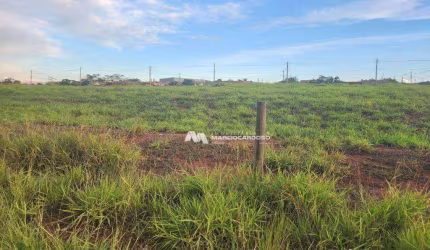 Área à venda, 692 m² por R$ 470.000,00 - Parque Residencial da Lealdade - São José do Rio Preto/SP