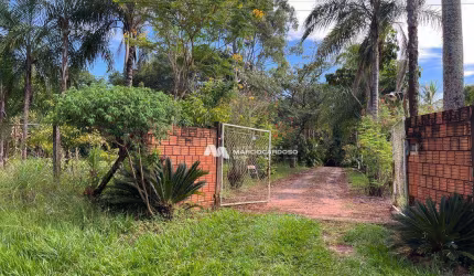 Chácara com 3 dormitórios à venda, 5000 m² por R$ 700.000,00 - Terra de São Lucas (Zona Rural) - São José do Rio Preto/SP